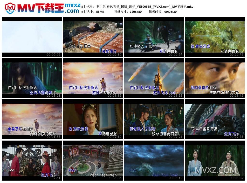 罗中凯-逆风飞扬_国语_流行_YE800665